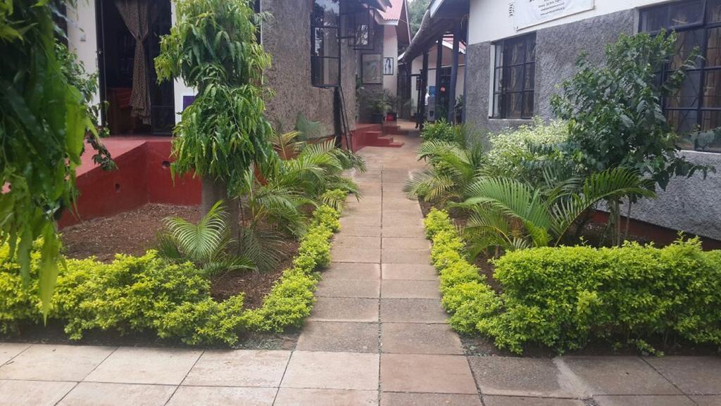 Mama Simba Bed And Breakfast Moshi Luaran gambar