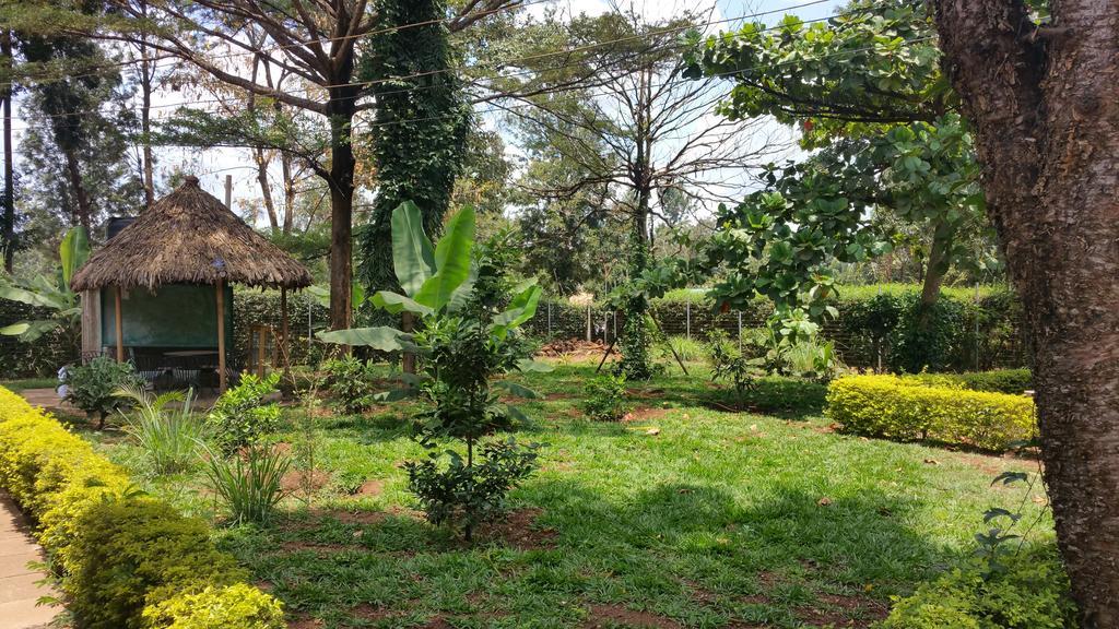 Mama Simba Bed And Breakfast Moshi Luaran gambar