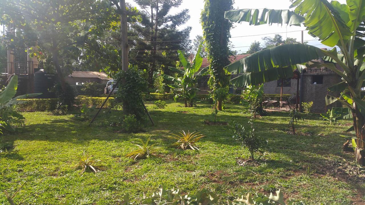 Mama Simba Bed And Breakfast Moshi Luaran gambar