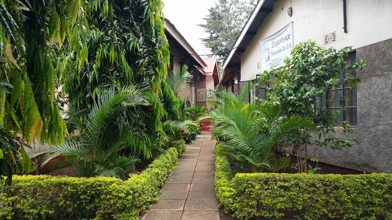 Mama Simba Bed And Breakfast Moshi Luaran gambar