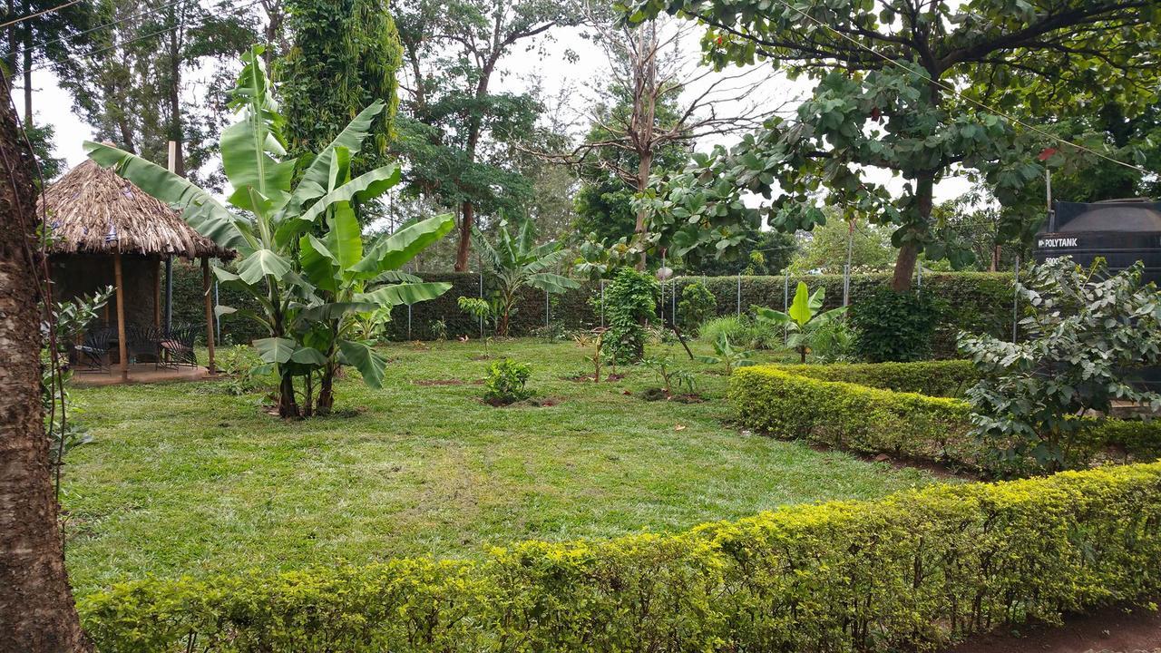 Mama Simba Bed And Breakfast Moshi Luaran gambar