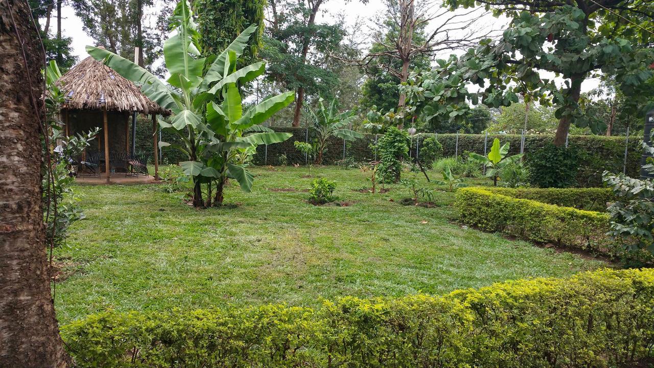 Mama Simba Bed And Breakfast Moshi Luaran gambar